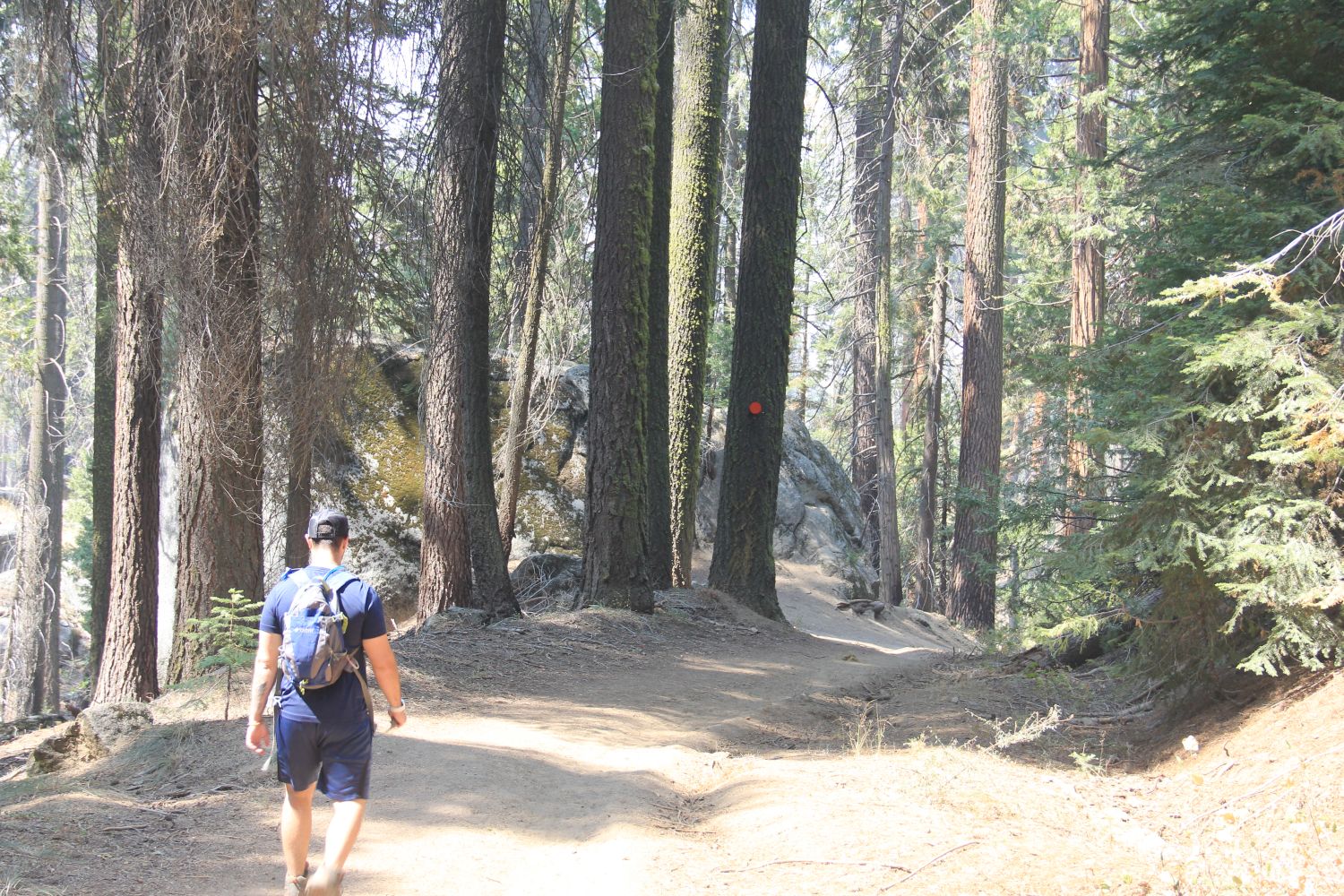 Grant Tree Trail, Boundary Trail and North Grove Trail 